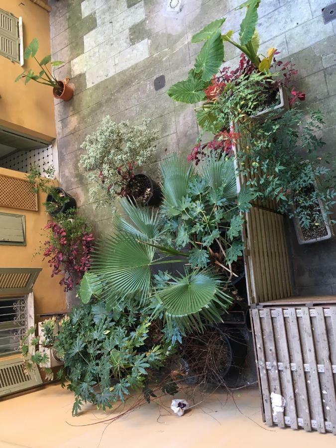 Heart Of Nice Harboor Cosy And Central Extérieur photo
